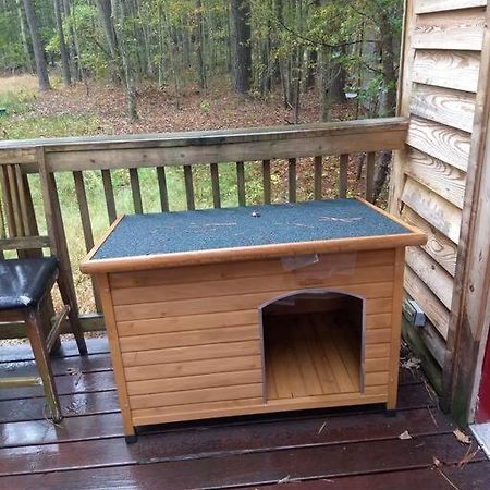 Rustic Quaint Cabin In The Woods--Pets Welcomed Dunnsville Exterior foto